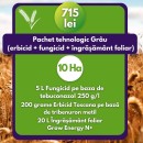 Pachet tehnologic Grâu- erbicid+ fungicid+ îngrășământ foliar- 10 Ha